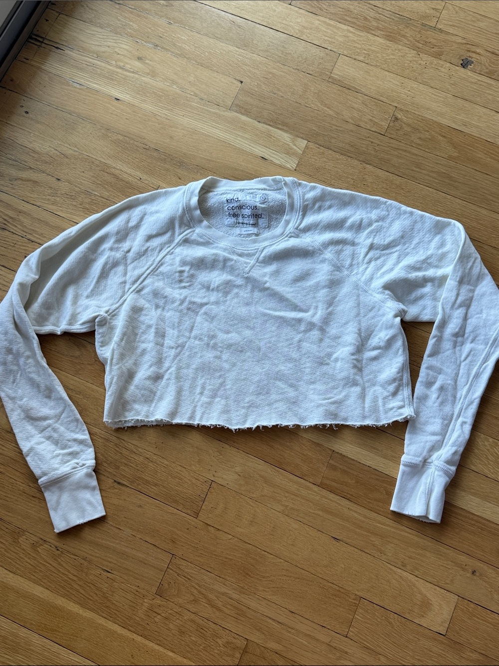 Unsubscribed White Cropped Long-Sleeve Crewneck